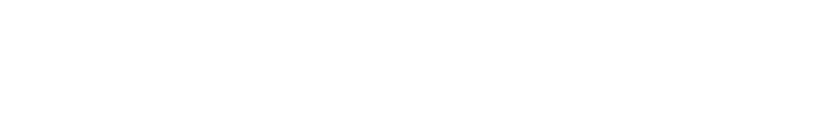 Varity Labs
